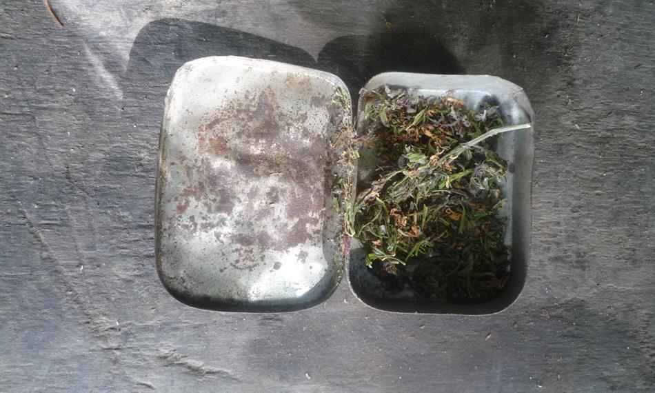 2015-9-16-953krabička II.JPG